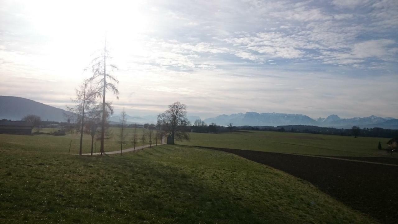 Ferienwohnung An Der Idyllischen Salzachschleife Naehe Salzburg 라우펜 외부 사진